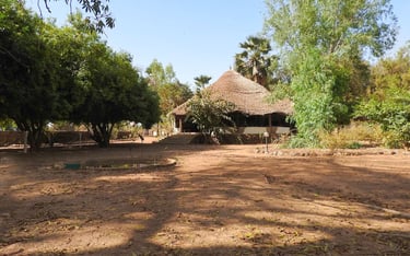 Campement de Wassadou eco-lodge in Tambacounda regio