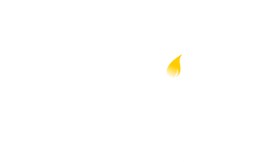 The logo for Will and Whiskers reading Will & Whiskers Pet Portraits