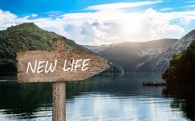 Smart but Failing? What Do I Do Now? Bad at Everything new life image