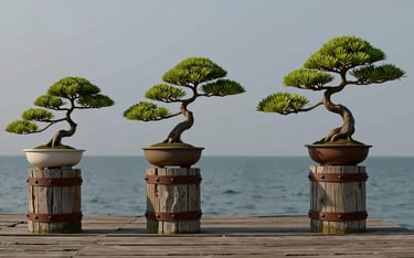 3 bonsai trees of different size