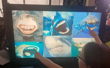 une petite fille qui regarde des requins rigolos
