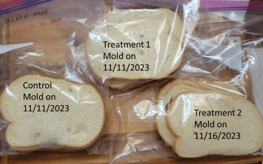 cultured dextrose extends Italian bread shelf-life
