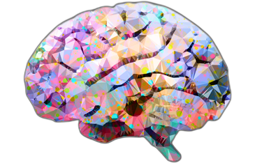 Cerveau en couleurs