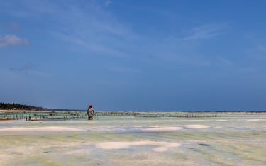 On Zanzibara person standing on a beach with a kite