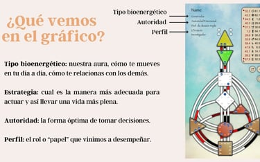 Gráfico de diseño humano