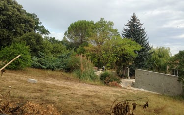 Terrain