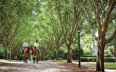 Horseback Riding at Barnsley Gardens 