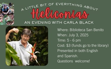 Carla Black in her Heliconia garden
