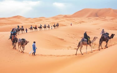 A long line of camels and people trekking through a desert dune