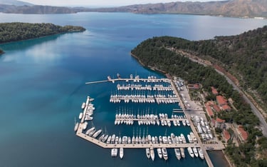 Marti Marina Chauffeur & Transfer Service