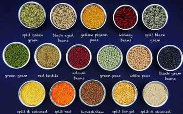 a variety of different types of pulses and beans in bowls