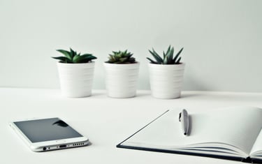 Essential items for school advocacy meeting