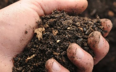 bonne terre ou mauvaise terre ?