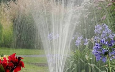 L'arrosage au jardin
