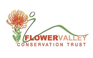 flower valley logo of protea 