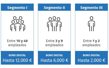 Sergmentos del kit digital para pymes y pequeñas empresas.