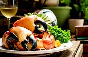stone-crab-claws-florida