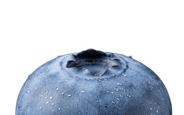 Makrofelvétel egy friss, érett áfonyáról, vízcseppekkel, fekete háttér előtt.