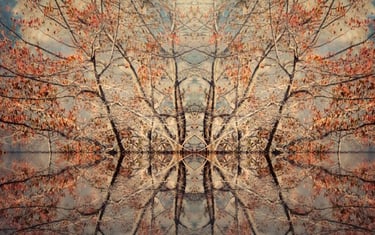 Photo Montage of an illusional island and trees with reflections in the water