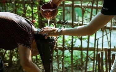 Vietnam’s climate plays a key role in supporting the natural strength and beauty of Vietnamese hair.