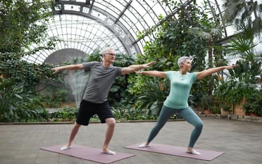 CritiqoNet article on fitness programs for Older Adults