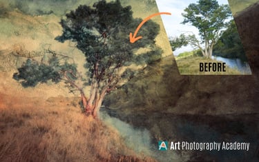 Fine Art Photograph showing a before and after effect of a tree next to a river once an art technique has been added