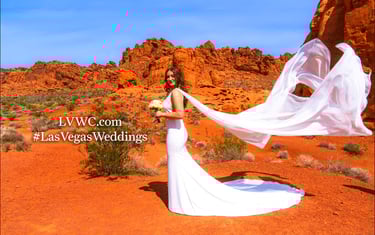 a woman in a white dress with a veil on her wedding day