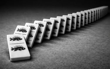L'effet domino des interventions à petite échelle