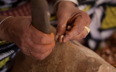 Woman opening an Argan nut with a stone without damaging the kernel inside.