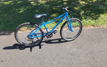 blue kid's bike