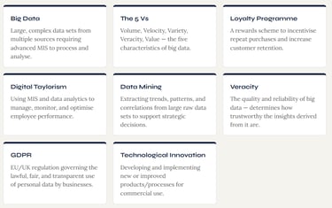 IB Business Management MIs & Big Data Key Terms