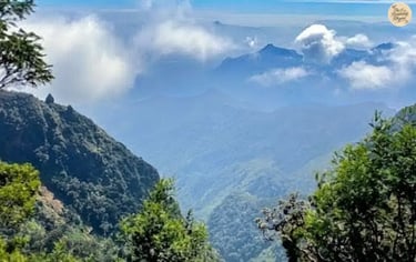 Scenic view of Cap’s Fly Valley in Kodaikanal.