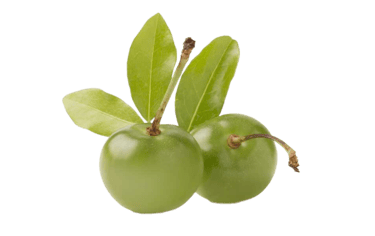 acerola