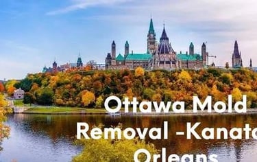 Ottawa Mold Removal near Kanata - Orleans