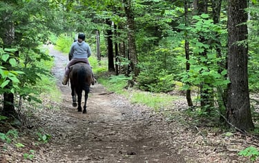 a person riding a horse down a path in the woods