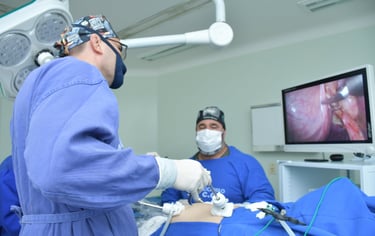 fazendo cirurgia por Colecistectomia Videolaparoscópica