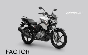 FACTOR CONNECTED | GM MOTOS YAMAHA NANUQUE