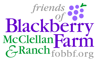FOBBF Logo