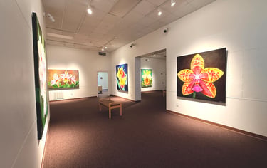Gallery installation of museum-scale monumental botanical art by Christine Knize 