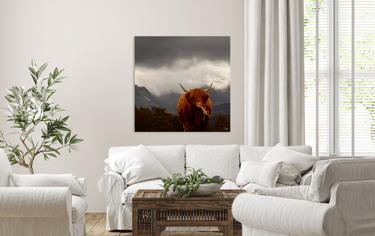 Canvas Print of a Highland Cow standing in mountainous atmospheric landscape