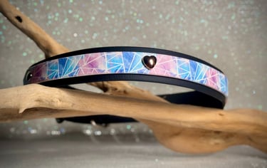 collier chien