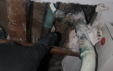 Mold damage