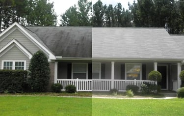 Roof cleaning service Trinity, FL
