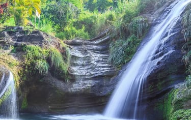Tropical waterfall cascading into a natural blue pool surrounded by lush green jungle foliage.