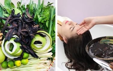 Vietnamese women love caring for their hair with natural, plant-based products vietnamese hair vietsilkhair