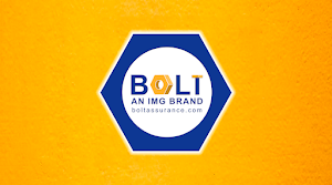 Bolt Insurance Logo