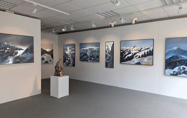 Exposition vincent ganaye à la galerie Cepagrap de Saint-Dié