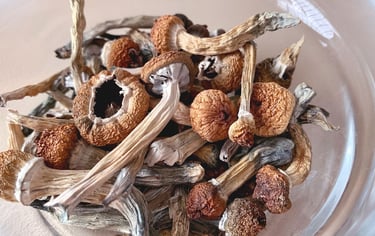 Close-up of dried psilocybin mushrooms with brown caps and stems in a clear glass bowl.