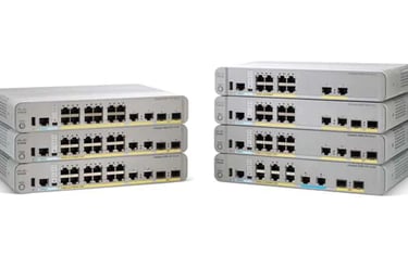 network-egypt
