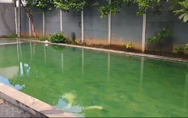 kolam renang dengan air berwarna hijau tanda kolam renang perlu perawatan khusus